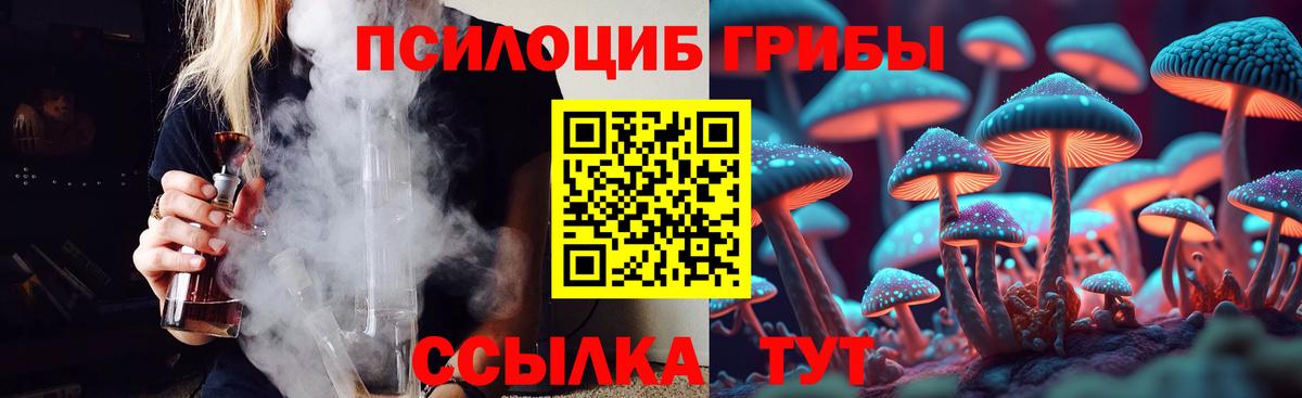 магазин продажи   Галлюциногенные грибы MAGIC MUSHROOMS  Вход с VPN  Королёв 